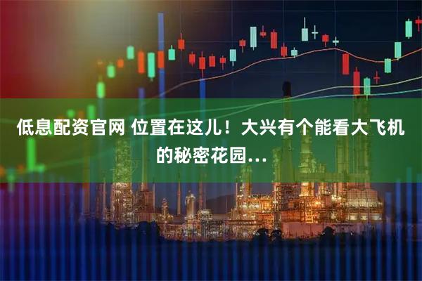 低息配资官网 位置在这儿!大兴有个能看大飞机的秘密花园…
